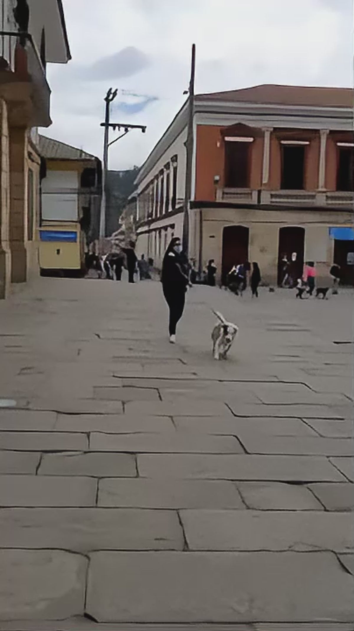 Videos